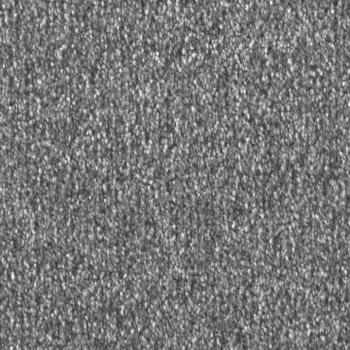 Draufsicht auf Vorwerk Celina 55A8 dunkelgrau Teppichboden mit Preisschild 79,95 €/m²